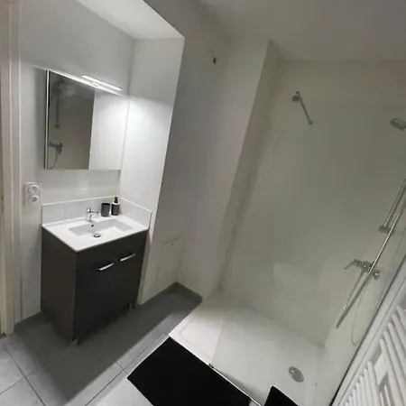 O Calme Cosy - Jardins Et - Experience Unique - Wifi Gratuit - Parking Gratuite Apartament Grenoble